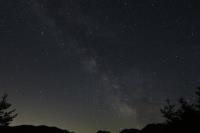 canon G3X sample gallery 2