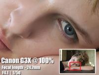 canon G3X sample gallery 4