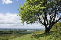 canon 5D s sample gallery 1