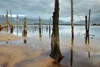 canon 5Ds R sample gallery 2