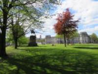 canon SX710 sample gallery 3