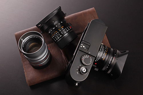 mirrorless cameras 10