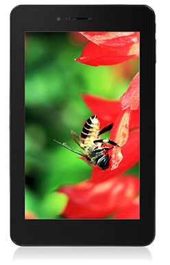 MSI Primo 76 - 16GB 4