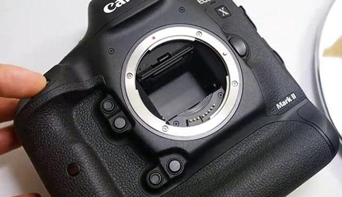 Canon EOS-1D X Mark II 7