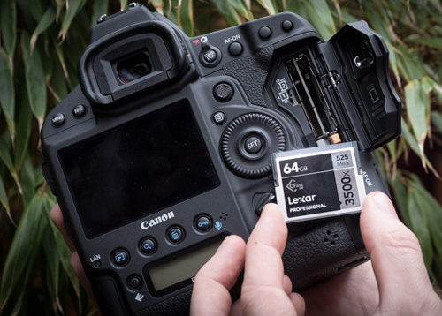 Canon EOS-1D X Mark II 10