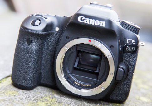 Canon EOS 80D 6